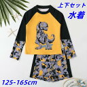 【期間限定セール 30%OFF】 水着 恐竜 キッズ 男の子 130 140 150 160 長袖 半袖 ラッシュガード 夏 男の子セパレート 上下セット 子供...