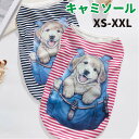 犬服 犬 犬用 キャミソール ゴールデンレトリバー ボーダー プリント 袖なし ウェア ドッグウエア 犬の服 防蚊 虫よけ 可愛い おしゃれ 散歩 お出かけ 薄手 夏服 部屋着 記念撮影 プレゼント 女の子 男の子 インスタ映え 撮影 ペット 犬用品 夏