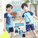 【期間限定セール 30%OFF】 水着 男の子 120 鮫 サメ 鰐魚 鰐 ワニ 小学生 キッズ セパレート 男児 80 90 100 110 120 140 ...