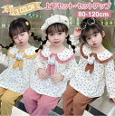 【期間限定セール 30%OFF】 2点セット 子供服 小花 ウサギ ドールカラー 長袖 トップス + 無地 ストレッチ パンツ かわいい 上下セット パンツセッ...