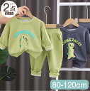 【期間限定セール 30%OFF】 2点セット 子供服 恐竜 クルーネック 長袖 トレーナー + 無地 シンプル ストレッチ パンツ かわいい キッズ セットアッ...
