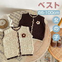 【22%OFF 28日21時まで】 女の子 ベビー服 ボタン すかし 花 クルーネック ニット ベスト かわいい / 子供服 トップス アウター 日常 カジュアル 春 秋 保育園 新生児 出産祝い 赤ちゃん 幼児 プレゼント 贈り物 66 73 80 90 100 cm