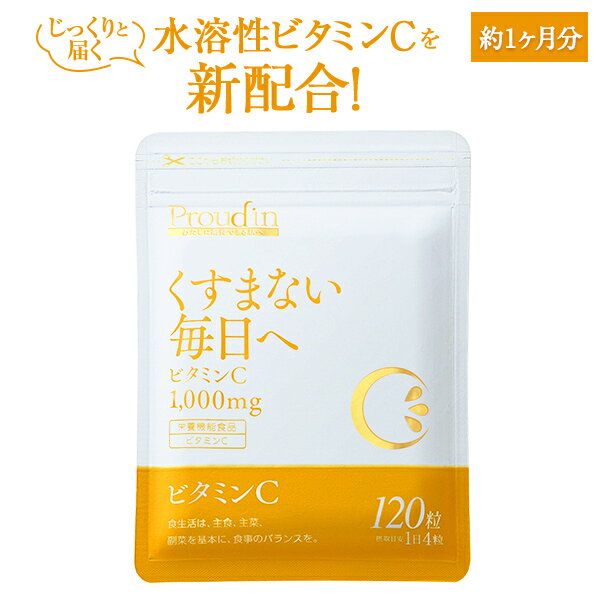 ビタミンC サプリメント ／一粒にビタミンCを250mg 美容 抗酸化作用 健康維持 120粒 ヴァイタミンファクトリー【栄養機能食品（ビタミンC）】（ ビタミンC , レモン果汁 , ローズヒップ ）のサムネイル