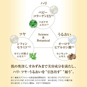 ■リフィル■suhadabiクッションファンデーション/ナチュラルオークルリフィル/SUHADABI(スハダビ,紫外線,日焼け止め,UVカット,SPF,50+,PA,+++)