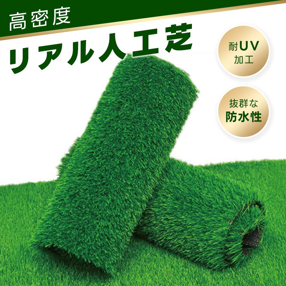 RBOOM㤨֥ ͹ ԥդ ͹  1.5m 1m10m ͹ ͹ǥޥå ͹ǥ ԥ  ٥ ƥ饹 Х륳ˡ ǥ˥ ǥ в uԥ Ϥ ٥ ͹ 祤 ͹ 𥷡 ηפβǤʤ4,760ߤˤʤޤ