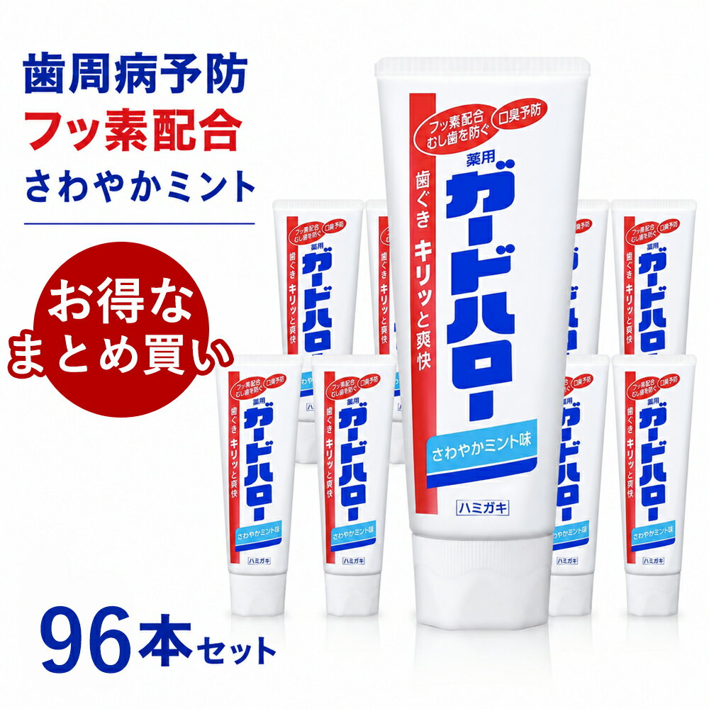 歯磨き粉 大容量165g 口臭 歯磨き粉 おすすめ 人気 口臭ケア 歯みがき粉 はみがきこ オーラルケア 歯みがき ハミガキ粉 爽快 目覚めてすぐ キス ブレスケア におい スッキリ 息ケア 洗浄 ミント オリジナル