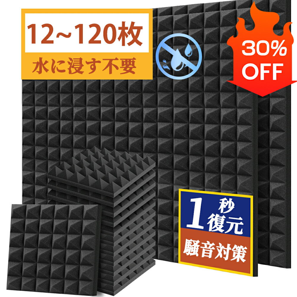 sap01-bk-top02.jpg sap01-bk-top02.jpg
