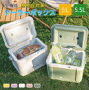 クーラーボックス 小型 コンパクト かわいい 5L 5.5L 限定カラー おしゃれ クーラーバッグ クーラーバスケット クーラーBOX 保冷バッグ 保冷 キャン...