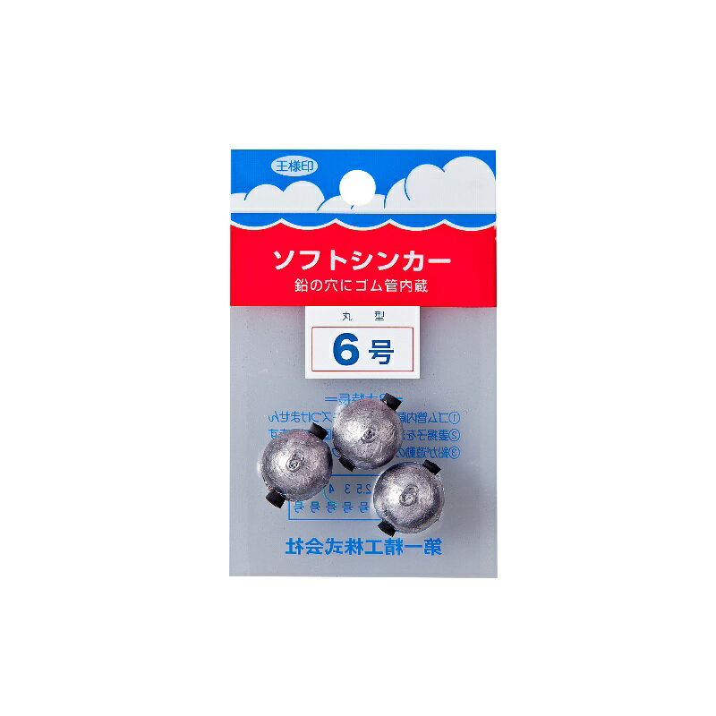  եȥ󥫡 ݷ 6 |   եå