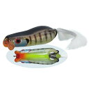 エバーグリーン シャワーブローズ ソフトシェル #281 シークレットギル | 釣具 釣り フィッシング(4)