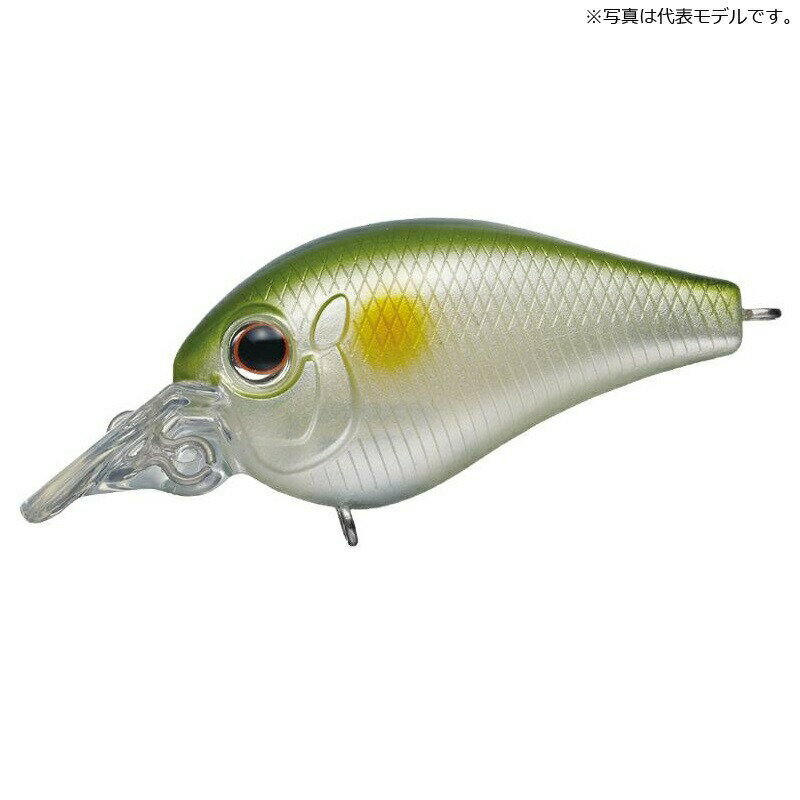 С꡼ ԥå ֥ #27  |   եå