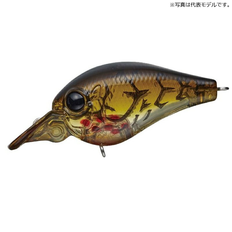 С꡼ ԥå ֥ #81 ֥꡼ǥ󥰥֥饦󥯥 |   եå