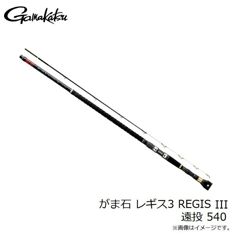 がまかつ がま石 レギス3 REGIS III 遠投 540 | 釣具 釣り フィッシング r-bunbun-10092841 つり具のブンブン 楽天市場店 サンプル画像3