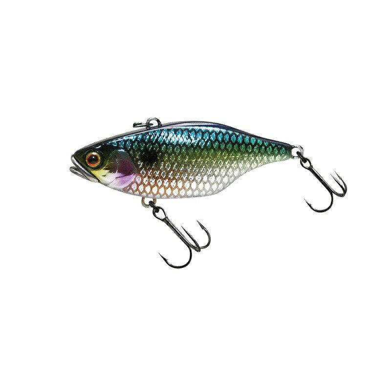 ジャッカル TN50 フルタングステン ウロコホロ SSシャッド | 釣具 釣り フィッシング