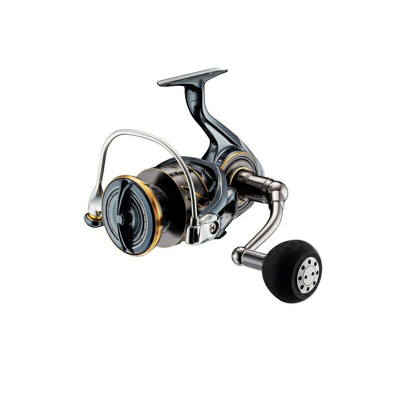 DAIWA - ダイワ 22カルディアSW 14000-H | 釣具 釣り フィッシング