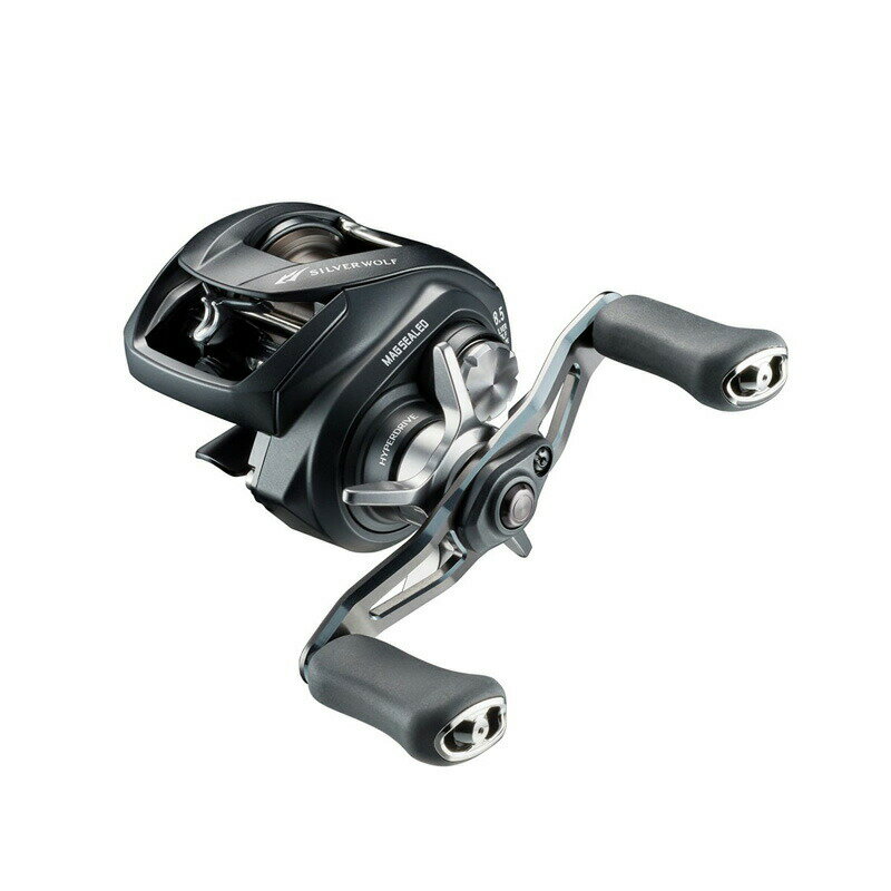 DAIWA - ダイワ シルバーウルフ SV TW 1000XHL PE SPECIAL / 左ハンドル | 釣具 釣り フィッシング