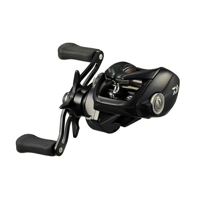 DAIWA - ダイワ 24タトゥーラ TW 100 / 右ハンドル | 釣具 釣り フィッシング