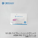 コアマン VJ-28 バイブレーションジグヘッド #064 PH/ケイムラパール | 釣具 釣り フィッシング(4)