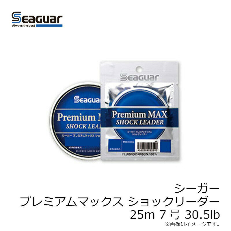 クレハ シーガー プレミアムマックス ショックリーダー 25m 7号 30.5lb | 釣具 釣り フィッシング r-bunbun-10111320 つり具のブンブン 楽天市場店 サンプル画像3