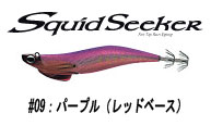 バレーヒル スクイッドシーカー 30 レギュラー #09RG パープル/赤 | 釣具 釣り フィッシング
