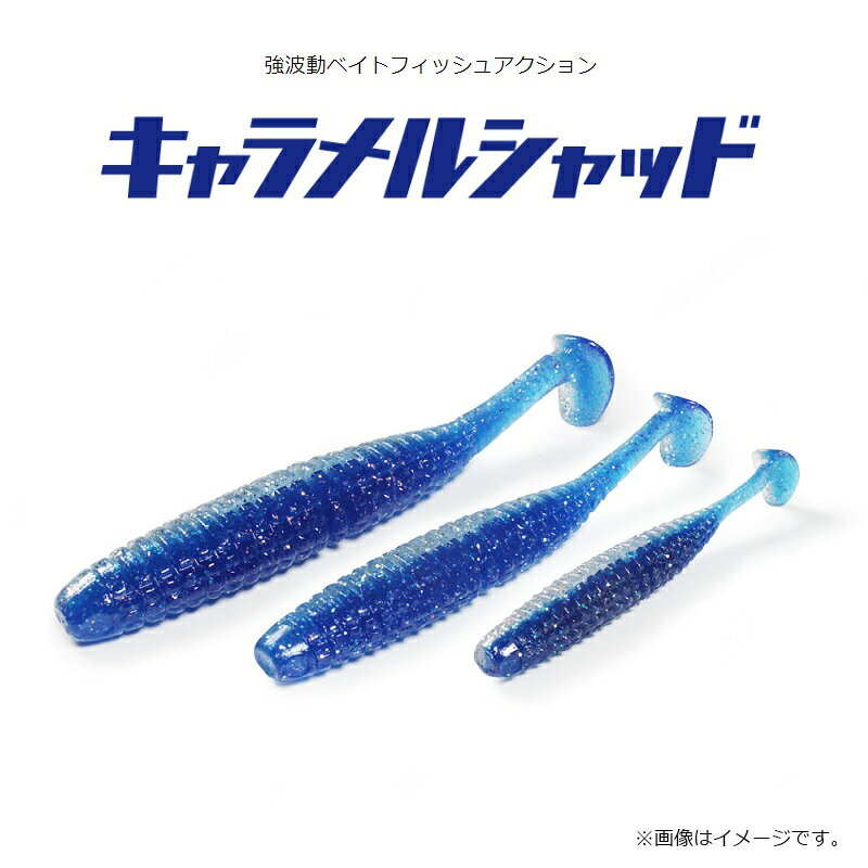 一誠 海太郎 キャラメルシャッド 2.6インチ #028 アカキン | 釣具 釣り フィッシング r-bunbun-10076112 つり具のブンブン 楽天市場店 サンプル画像2