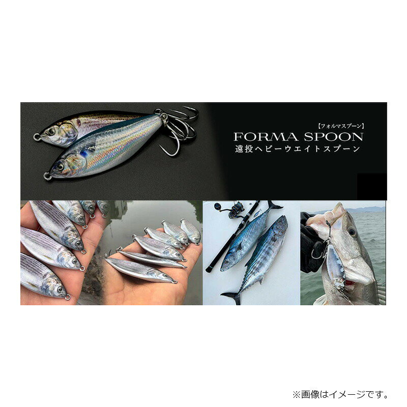 【先着限定最大5,000円OFFクーポン 9/18〜】リトルジャック フォルマスプーン 18g #01 リアルコノシロシャッド | 釣具 釣り フィッシング r-bunbun-10077773 つり具のブンブン 楽天市場店 サンプル画像2