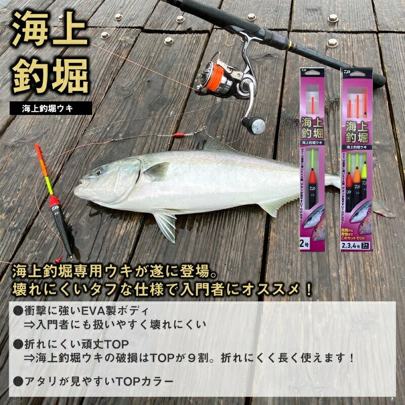 ダイワ 海上釣堀ウキ 2号 | 釣具 釣り フィッシング r-bunbun-10094096 つり具のブンブン 楽天市場店 サンプル画像3