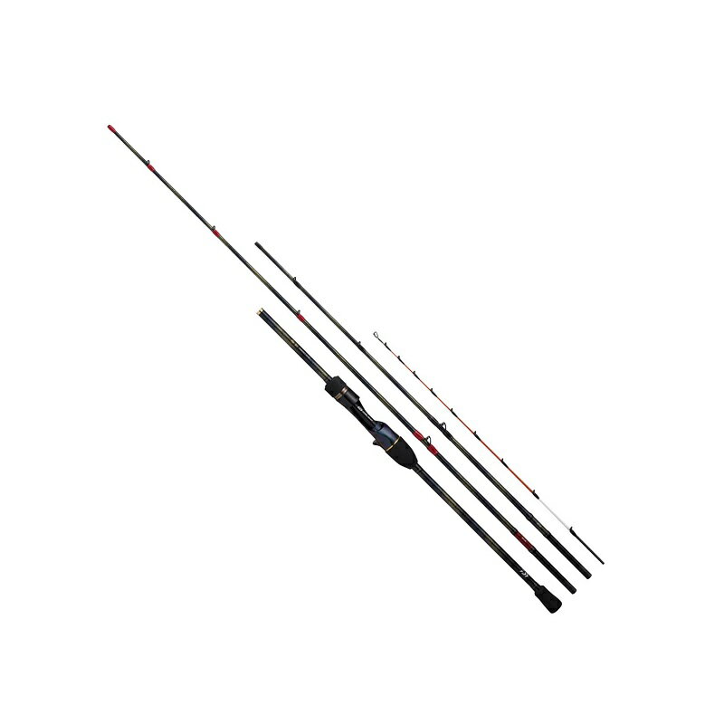 ダイワ 極鋭マルイカEX RS | 釣具 釣り フィッシング