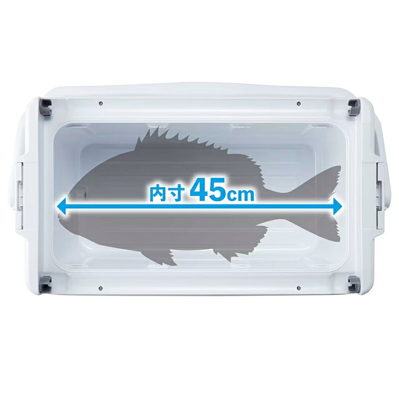 ���ޥ� ND-720Y ��˥ե꡼��LT 20L W�饤�॰�꡼�� | ��� ��� �ե��å���