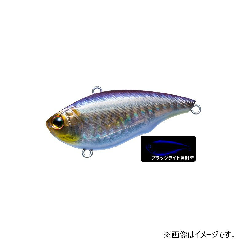 ǥ奨  ȥ ȥХ 40S KVGW 饴ȥ參 |   եå