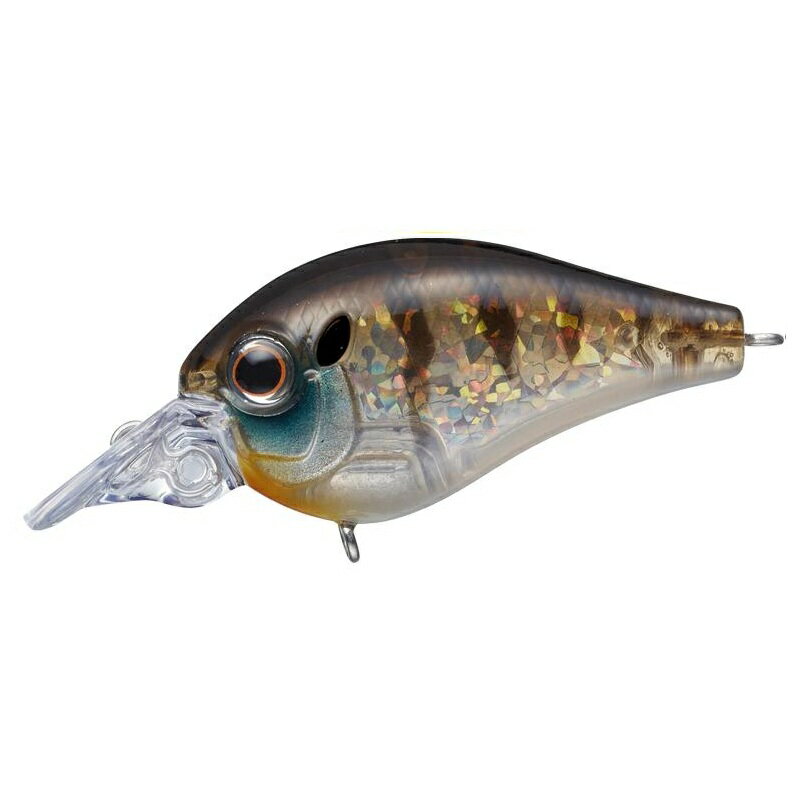 С꡼ ԥå ֥ #246 ե |   եå