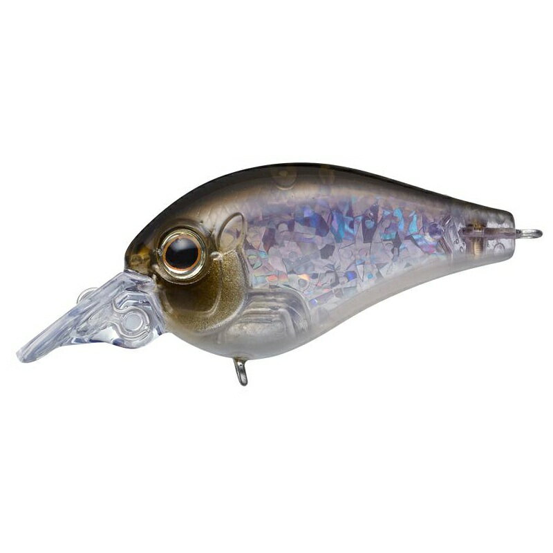 С꡼ ԥå ֥ #383 ͥ參 |   եå