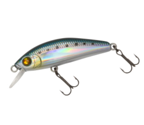 ダイワ 月下美人 夜霧 Z42S アミちらし | 釣具 釣り フィッシング