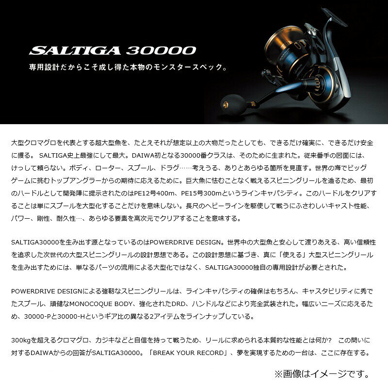 ダイワ 25 ソルティガ 30000-P / 釣具 釣り フィッシング r-bunbun-10121191 つり具のブンブン 楽天市場店 サンプル画像2