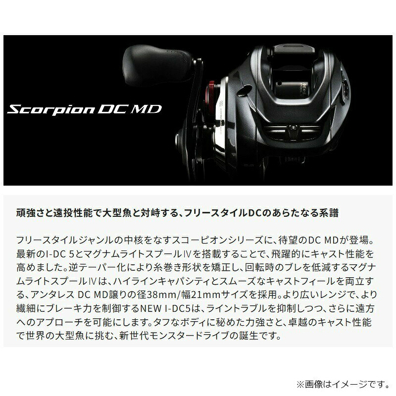 スコーピオン DC MD 200XG RIGHT の商品画像3枚目