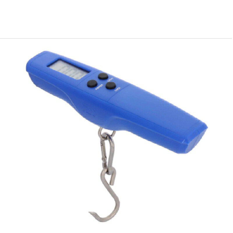 ������ �ǥ����륹������ 35 �֥롼 / ��� ��� �ե��å���