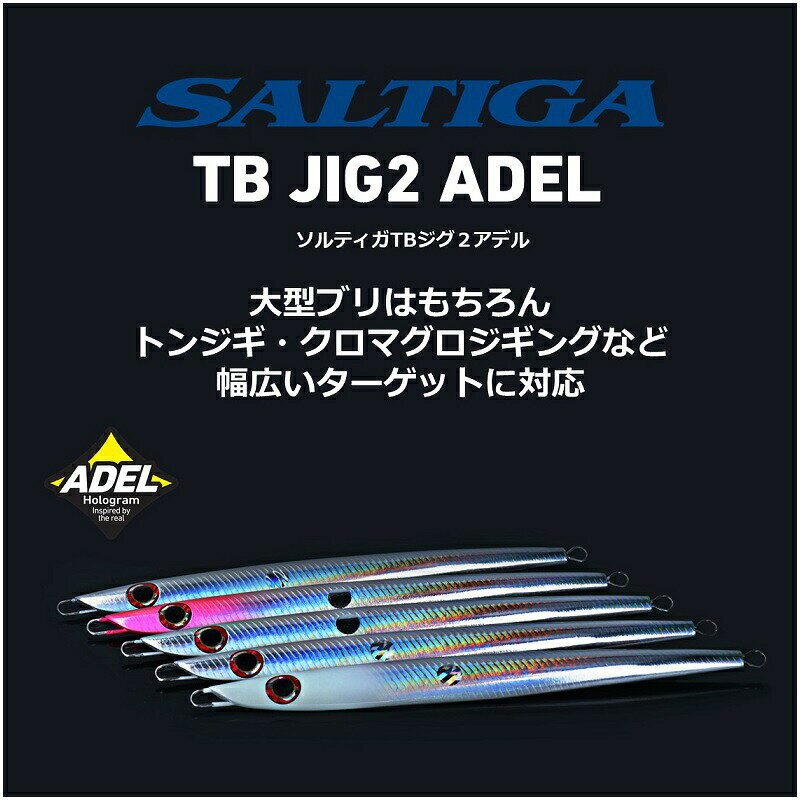 ソルティガTBジグ2アデル 140g アデルパラレルフルシルバー の商品画像3枚目