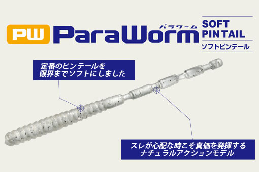 ᥸㡼ե եȥԥơ2 ۥ磻 |   եå