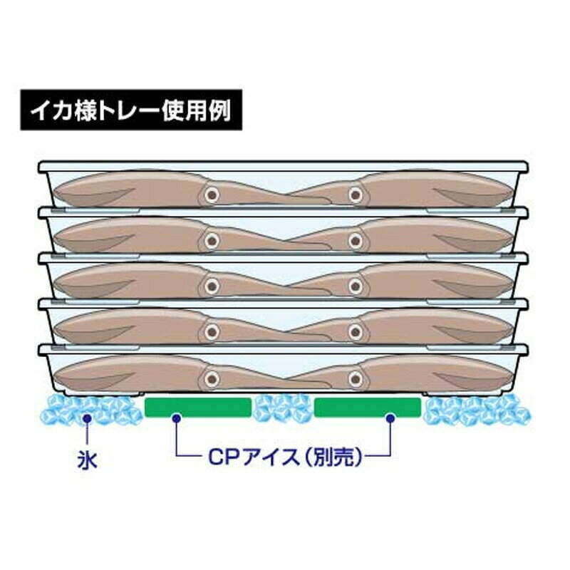 ダイワ イカ様トレーAL S 3枚セット / 釣具 釣り フィッシング r-bunbun-10010070 つり具のブンブン 楽天市場店 サンプル画像3