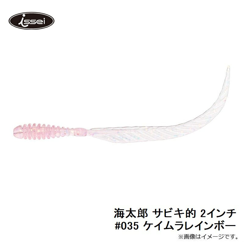 【先着限定最大5,000円OFFクーポン 9/18〜】一誠 海太郎 サビキ的 2インチ #035 ケイムラレインボー | 釣具 釣り フィッシング r-bunbun-10041711 つり具のブンブン 楽天市場店 サンプル画像2