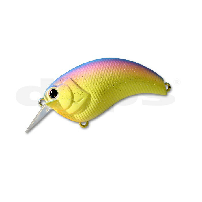 ǥץ  1.2 #09 쥤ܡ |   եå