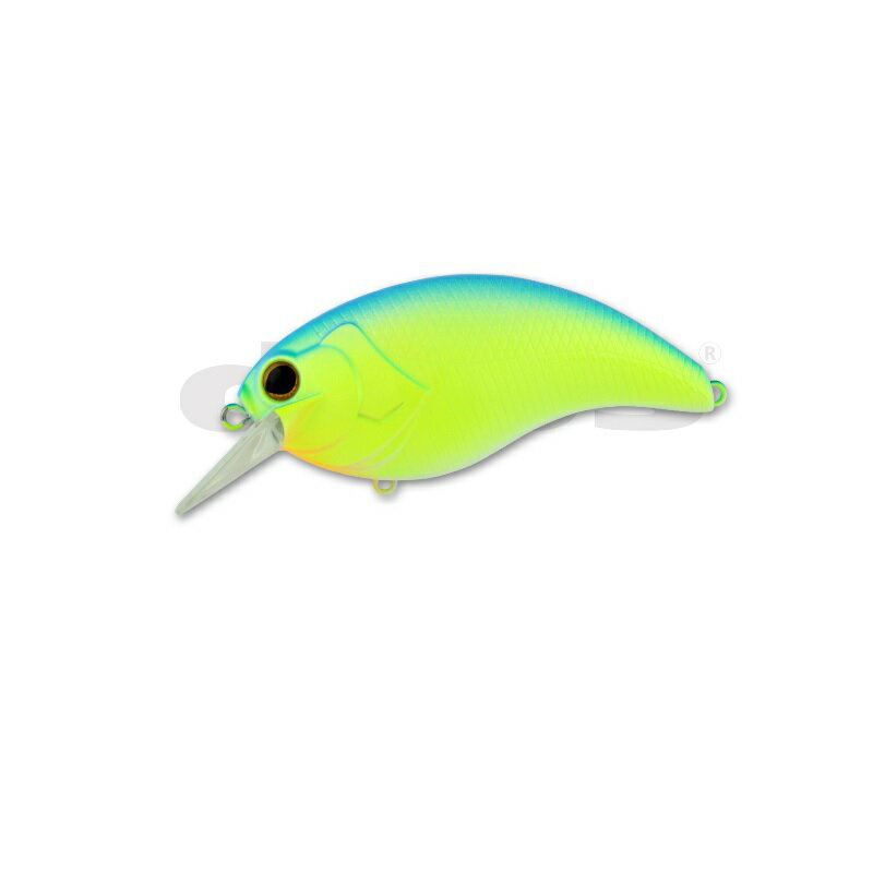 デプス イヴォーク 4.0 #02 ブルーバックチャート | 釣具 釣り フィッシング