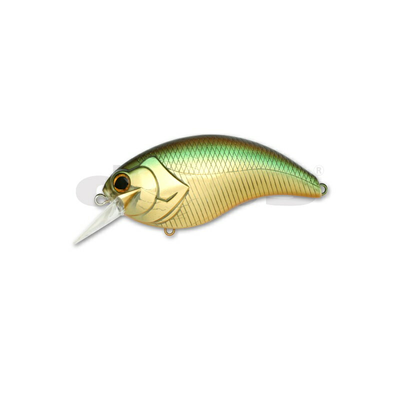 デプス イヴォーク 4.0 #06 ゴールデンシャイナー | 釣具 釣り フィッシング