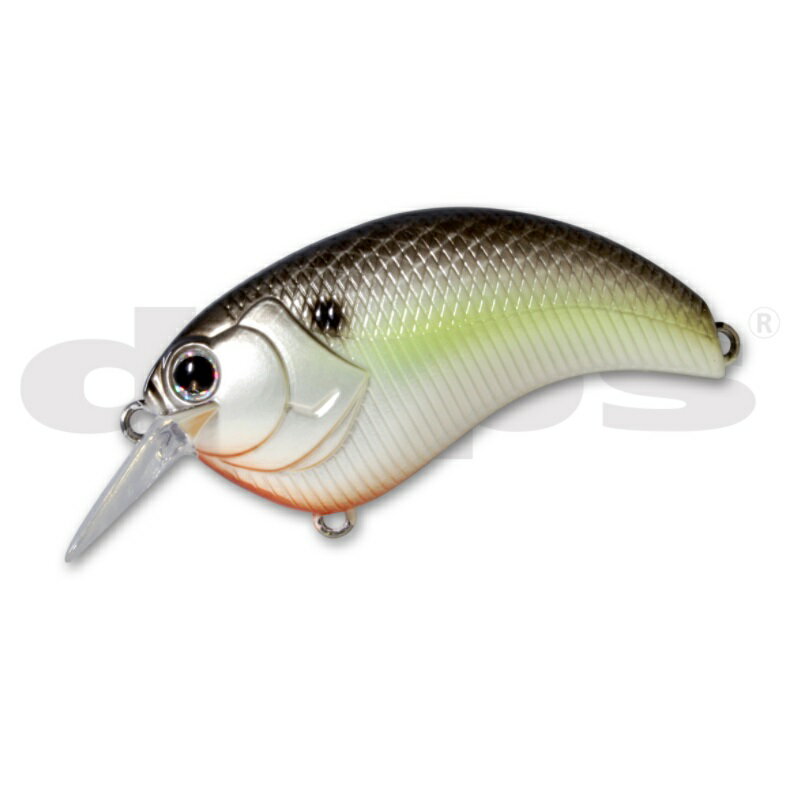 ǥץ  1.8 #18 ֥åХåå |   եå