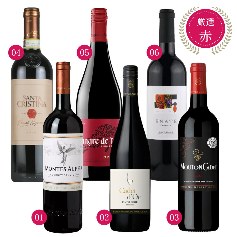 【6本セット】エノテカ 厳選 赤ワイン 750ml × 6本 セット チリ フランス イタリア スペイン 送料無料