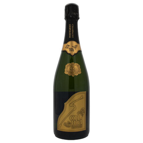 ソウメイ ブリュット Soumei Brut 750ml箱なし シャンパンギフト ラッピング ボックス 1本用 2本用 熨斗 誕生日 プレゼント お祝い [[wrap01][wrap03]