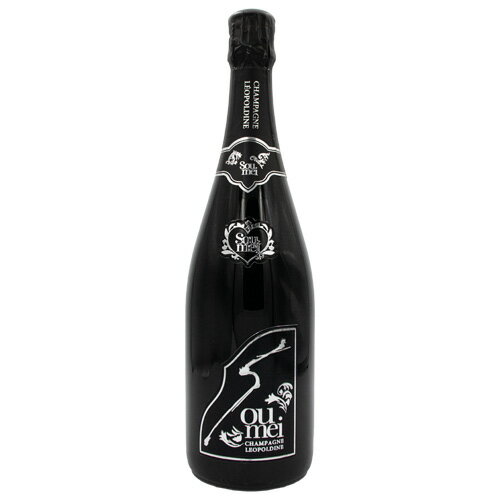 ソウメイ ブリュット Soumei Brut 750ml 箱なし シャンパン アウトレット – SAKE People