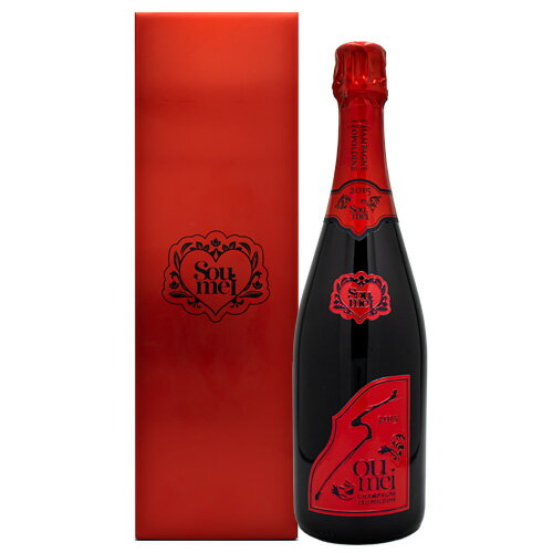 ソウメイ ミレジメ 2015（レッド）Soumei Millesime 750ml 箱付 ブリュット シャンパンギフト ラッピング 熨斗 誕生日 プレゼント お祝い [[wrap04]