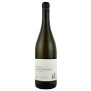 テオ ダンセール ヴァン ド フランス サヴァニャン ジュラシック 2023 750ml 白ワイン フランス 辛口ギフト対応可 ラッピング ボックス 1本用 2...