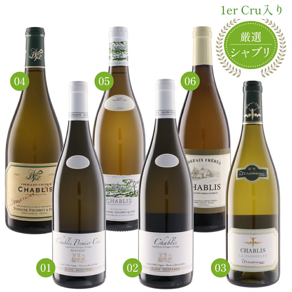 【6本セット】プルミエ クリュ(1級)が入った シャブリ 750ml × 6本セット 辛口 白ワイン 飲み比べ 送料無料